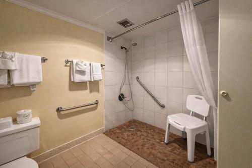 Econo Lodge - image 23