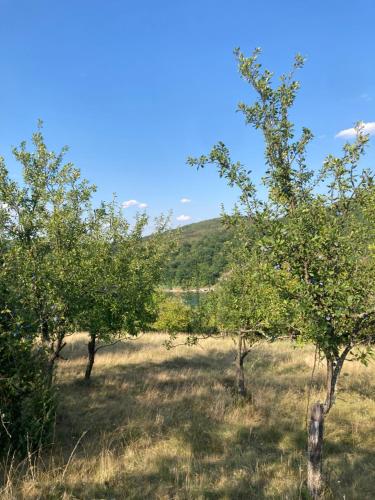 Skats, Kuća na Gruži, Gružansko jezero (Kuca na Gruzi, Gruzansko jezero) in Guncati