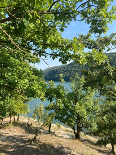 Skats, Kuća na Gruži, Gružansko jezero (Kuca na Gruzi, Gruzansko jezero) in Guncati