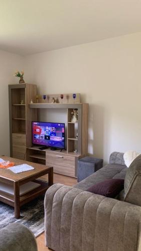 Apartman Dream in Ustikolina