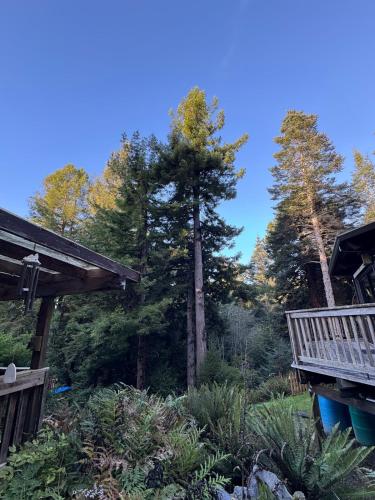 Home near the redwoods in Cleone (CA)