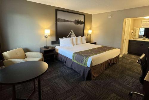 Super 8 by Wyndham Guelph Room Type - Business King Room - Non-Smoking