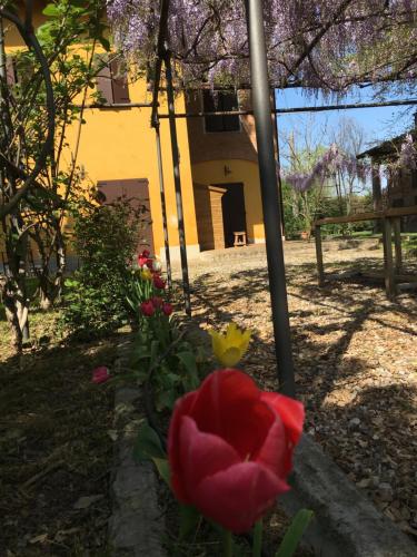 Fondo Giardinetto - image 14