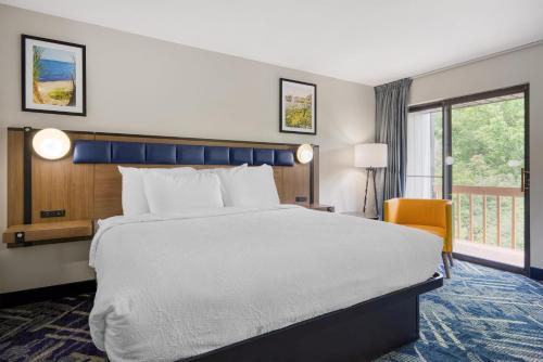 Best Western Indian Oak - image 34