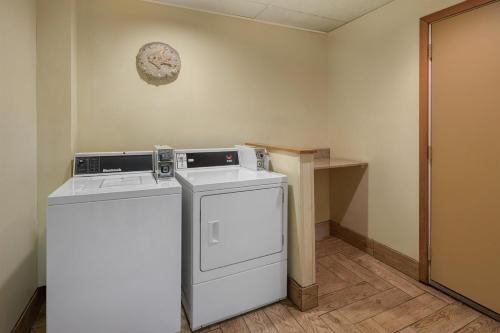Best Western Indian Oak - image 17
