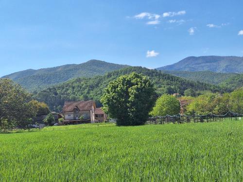 Apartman ISKRA in Mataruška Banja