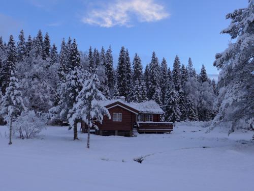 Viesnīcas āriene, Velfjord Camping & Hytter in Hommelsto