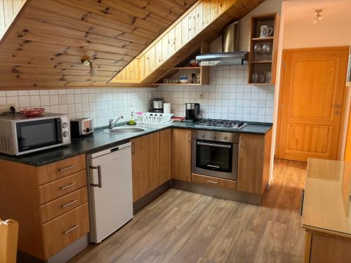 virtuve, Apartmany Graf in Chyne