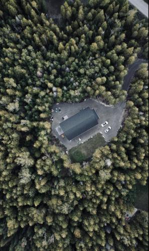 Modern Forest Paradise Bruce Peninsula in Pike Bay (ON)