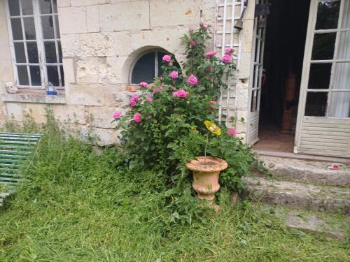 Dārzs, Chambres sur une ile de la Loire in Souzay-Champigny