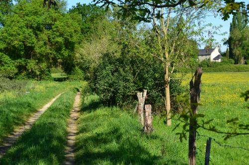 Chambres sur une ile de la Loire in Souzay-Champigny