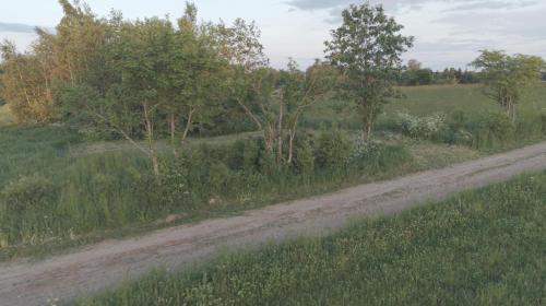 Exterior view of Place for tent - Miejsce na namiot u stop natury