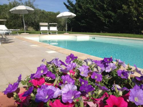 La Toscanella - Accommodation - Castagneto Carducci