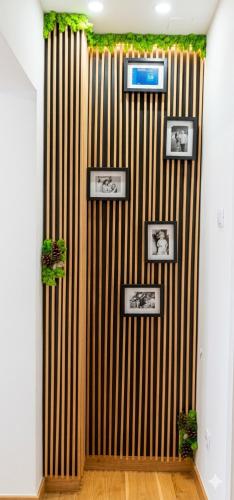 Apartament Daria in Tirgu Okna