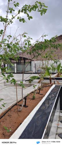 Mountain View in Manah