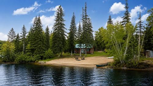 Rustic Waterfront Cabin with BBQ, Fire Pit and Views – khách sạn tại South Algonquin (ON)