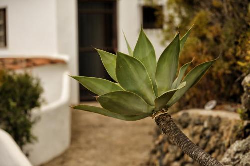 Pajar - Finca Tabaiba By TOR - Tap to explore photos