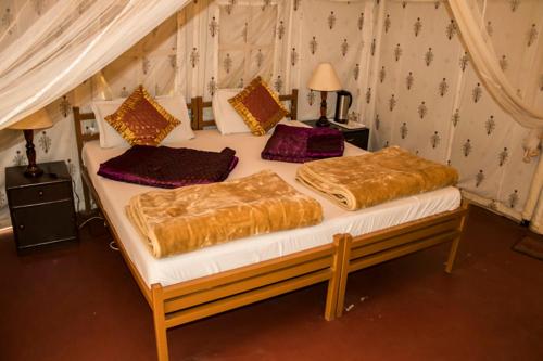 Jungle View Resort Ranthambhore in Ranthambore