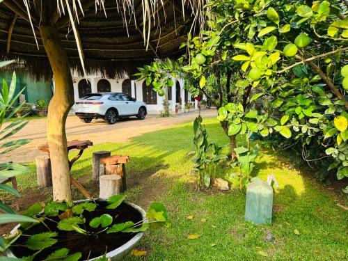 Orchid Resort in Medawachchiya