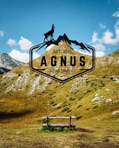 AGNUS mountain