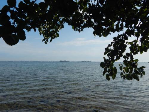 Traumhaftes-freistehendes-Ferienhaus-an-der-See-Strand-Yachthafen-W-Lan - image 32