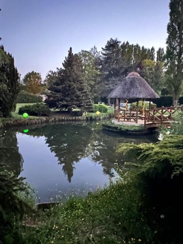 French countryside with pond & spa 1h from Paris in Saint-Lubin-de-la-Haye