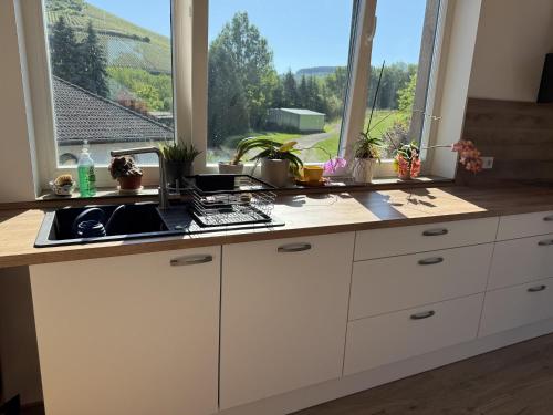 virtuve, Ferienhaus Licht-Blick 9 in Wiltingen