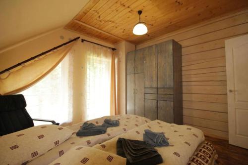 Guest house Alyaska in Polyanytsya