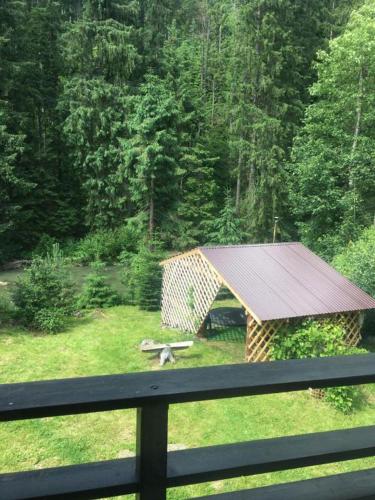 Guest house Alyaska in Polyanytsya