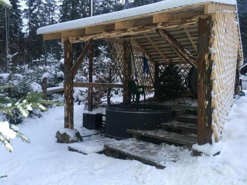 Guest house Alyaska in Polyanytsya