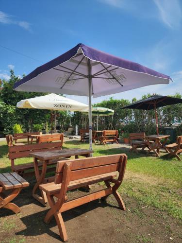 Hotel Bristol Velipoje in Велипоя