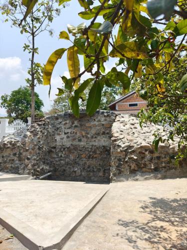 Kilátás, Vriksha Heritage Farm Stays in Sethumadai