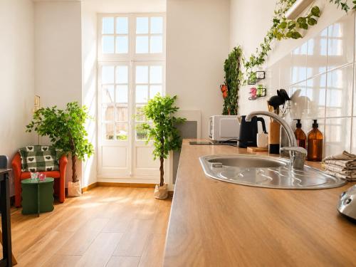 appartement cosy au coeur de la cite historique d Angers - Terrasse et confort - 2 pers