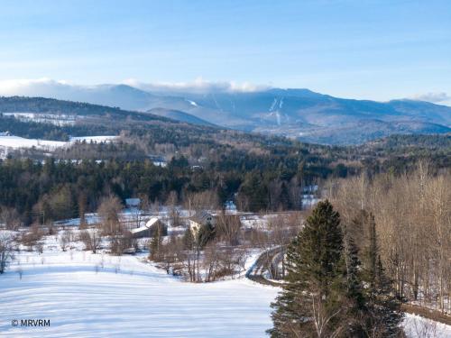 Mad Mountain Meadows - image 10