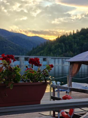 La Coca Lake House in Bicaz