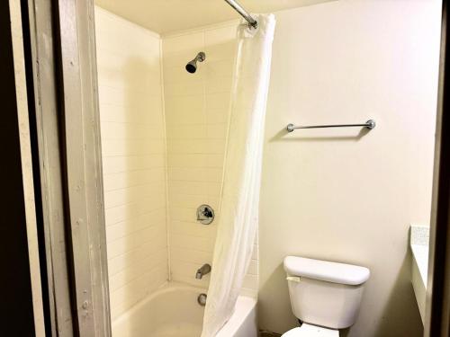 University Inn of Carbondale - image 22