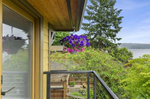 2BR 1BA Sammamish Lakeview Oasis Bellevue in Northeast Bellevue (WA)