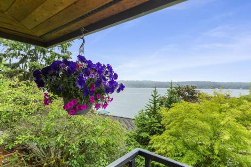 2BR 1BA Sammamish Lakeview Oasis Bellevue in Northeast Bellevue (WA)