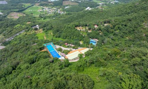 나무 숲 쉼 캠핑장 30 사이트 Tree FOREST CAMPING SITE 30