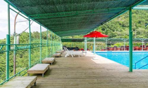 나무 숲 쉼 캠핑장 30 사이트 Tree FOREST CAMPING SITE 30