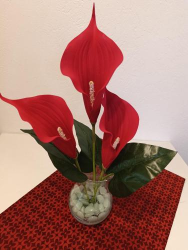 Apartman Milan PROMENADA in Врняка Баняа
