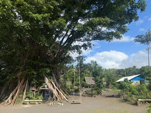 Fireworks bungalows in Isaka