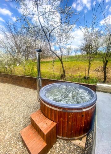 Hot tub, Agropensiunea Nord Rural in Edinets