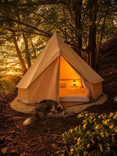 Tipi Nature a l'Ombre des Tilleuls à Vialas en Cévennes - Animaux ferme