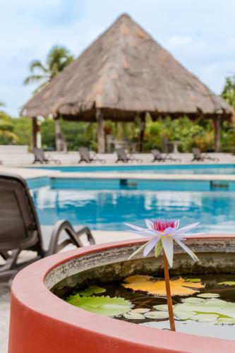 SUNNYSIDE 3 BDR with pool & wifi by Casa Paraíso, Cancún (fotografie 10)