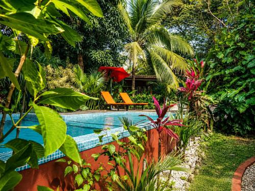 Casa Mapache, Tamarindo