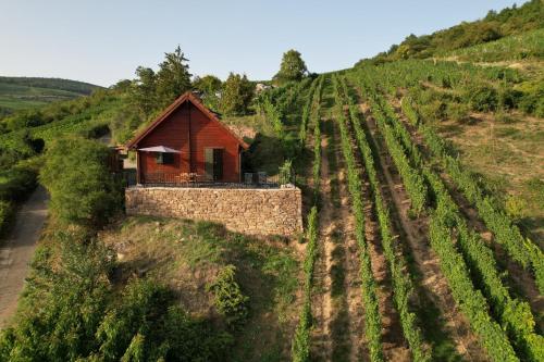 Le chalet du Hibou in Rouffach