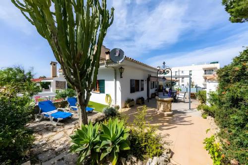 Cactus House