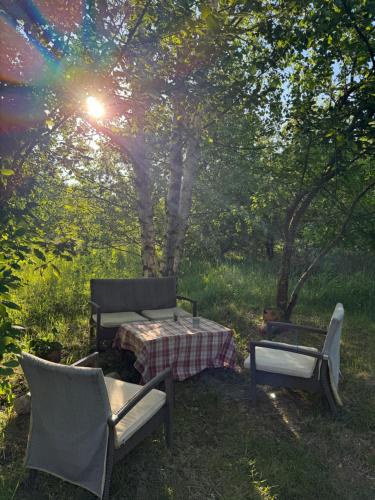 Red Era Glamping in Vėliučionys