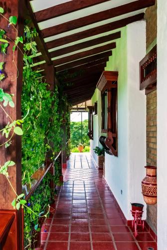 Balcony/terrace, Hacienda La Tulia Eco Hotel in La Unión (Valle del Cauca)